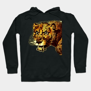 Comic and african lioness Hoodie